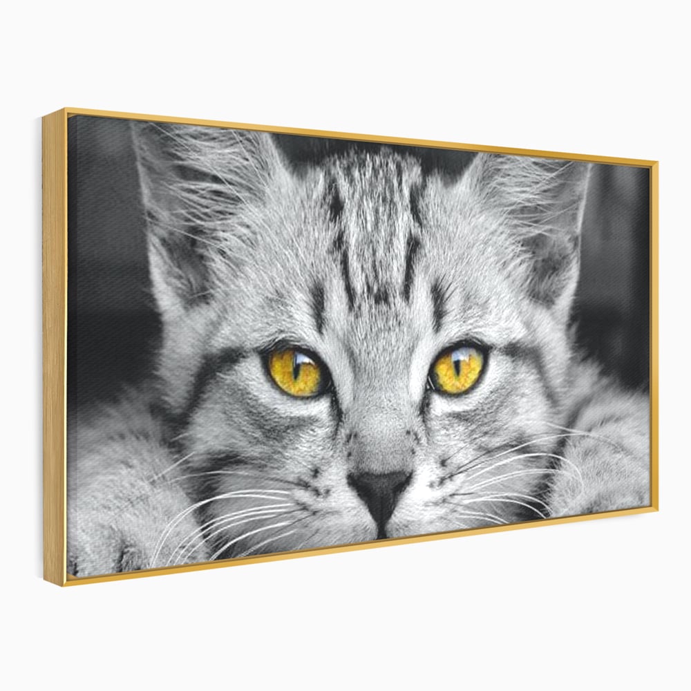 Tablou canvas cu tablou canvas cu o pisica alb-negru si ochi galbeni, in rama de aluminiu auriu